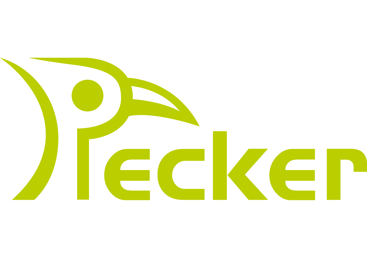 PECKER, 價值觀設計公司, 台中品牌設計公司, 台中LOGO設計公司, 台中網頁設計公司, 台中廣告設計公司, 台中視覺設計公司, 台中平面設計公司, 台中包裝設計公司, 台中型錄設計公司, 台中影片製作公司, 台中商業攝影公司